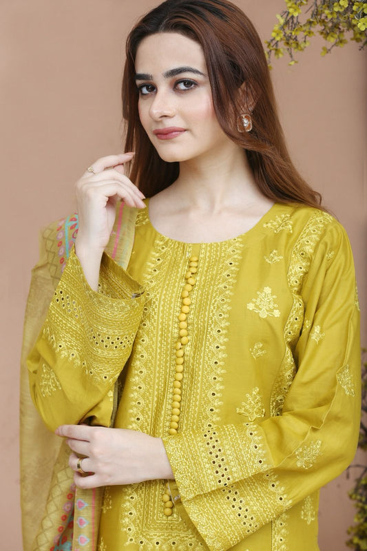 Stitched Embroidered Lawn 3 Piece